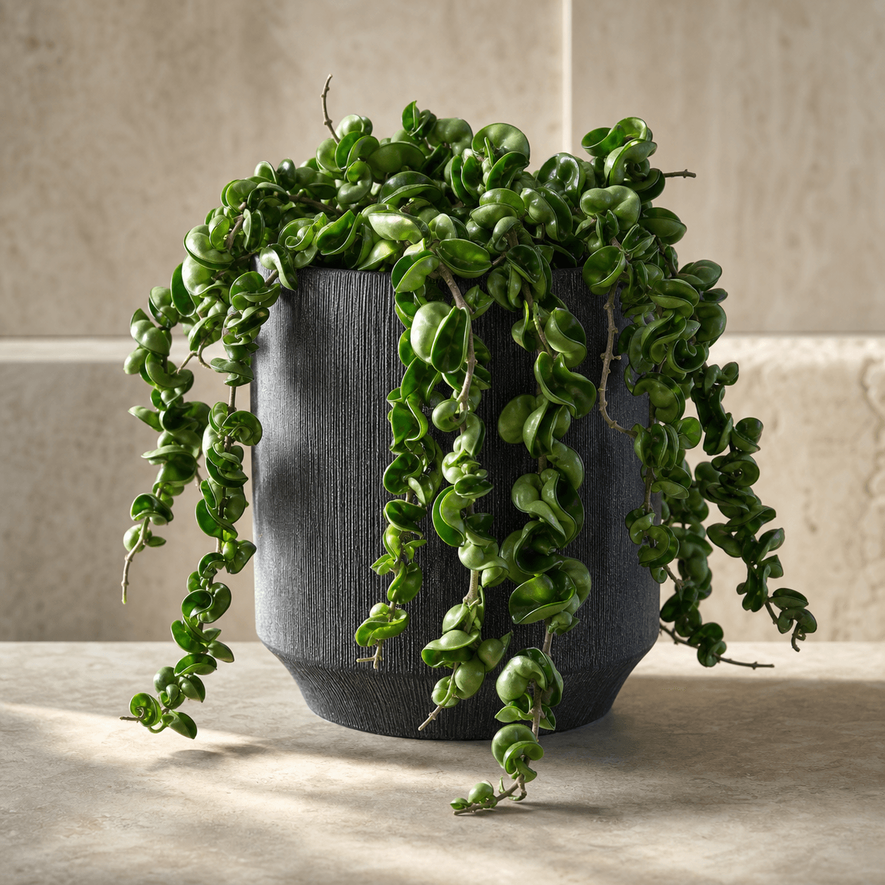 AI-generated concept of Hindu Rope Hoya; Hindu Rope Hoya identity requires verification