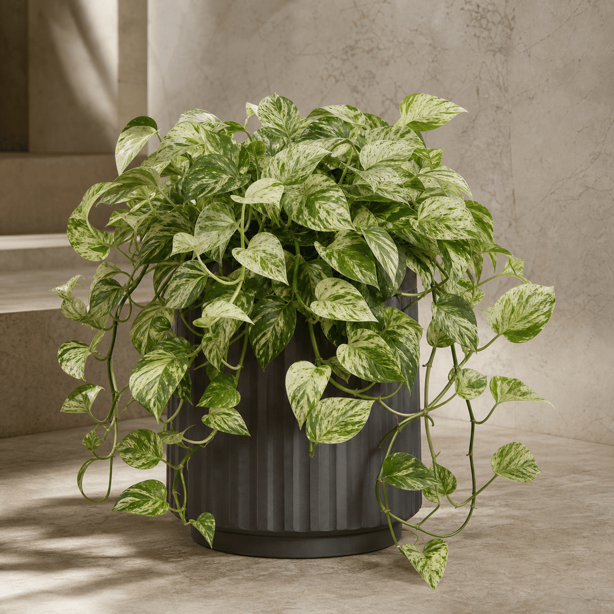 AI-generated concept of Marble Queen Pothos; Marble Queen Pothos identity requires verification