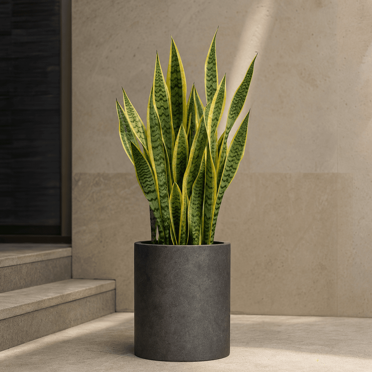 AI-generated concept of Snake Plant Laurentii; Snake Plant Laurentii identity requires verification