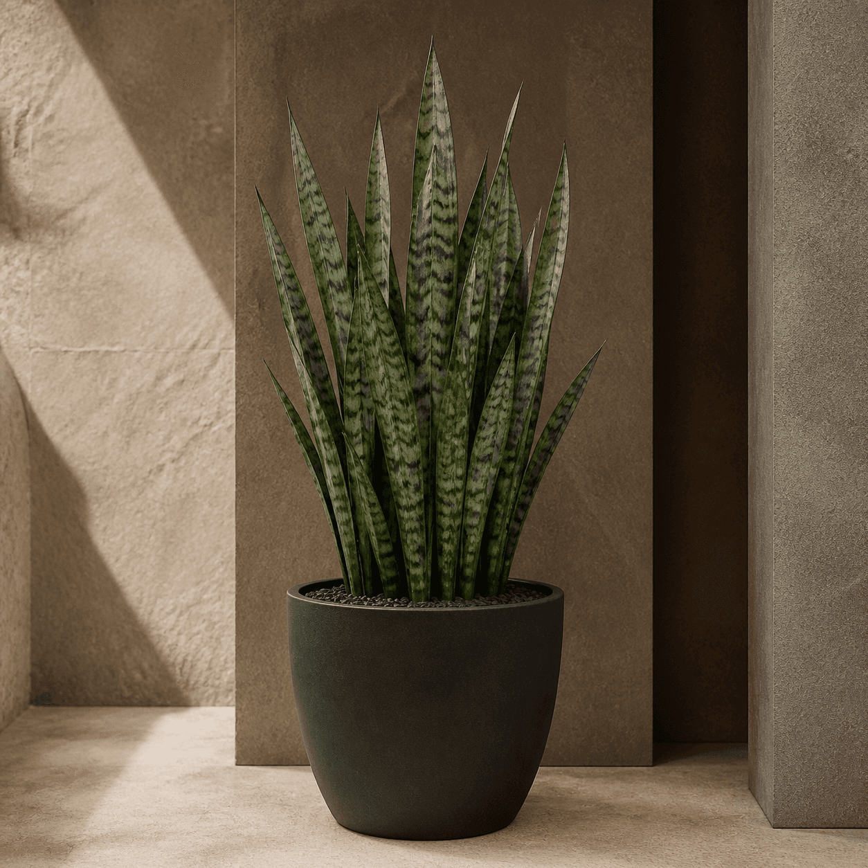 AI-generated concept of Snake Plant Zeylanica; Snake Plant Zeylanica identity requires verification