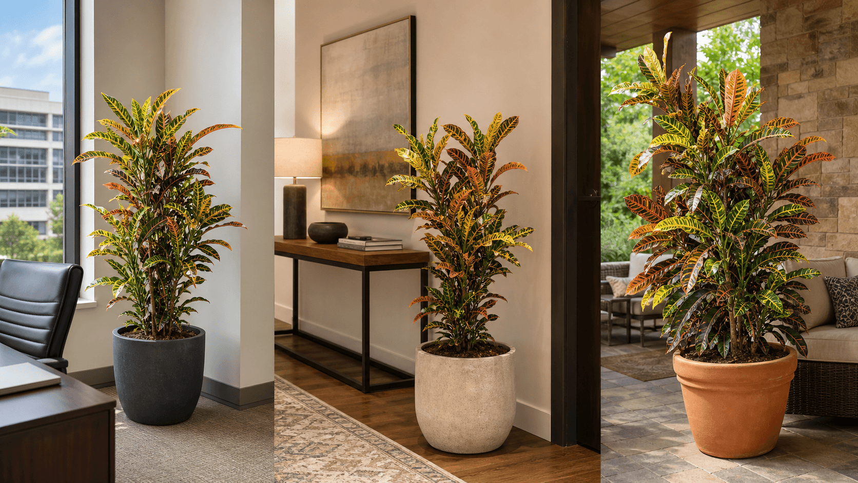 Croton shown in three settings: Executive office, Refined living room, Bright conservatory